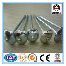 Widely use twist shank roofing nails g8-g12